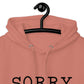 Sorry I’m Late Hoodie – Funny & Sarcastic Hoodie for Casual Wear